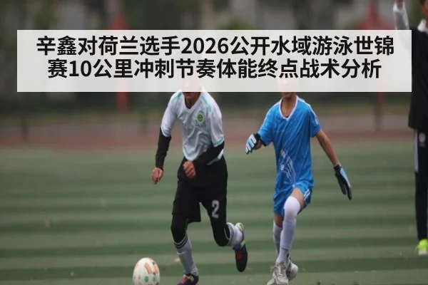辛鑫对荷兰选手2026公开水域游泳世锦赛10公里冲刺节奏体能终点战术分析
